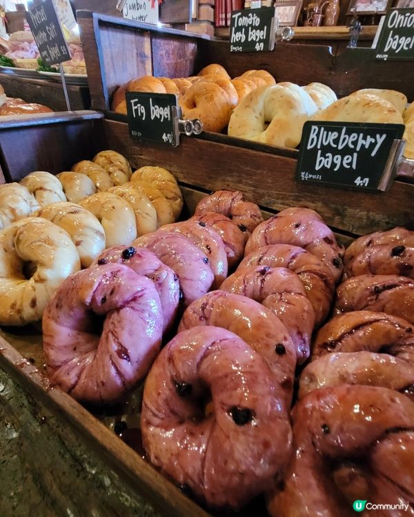 不能錯過的江南洞London Bagel Library