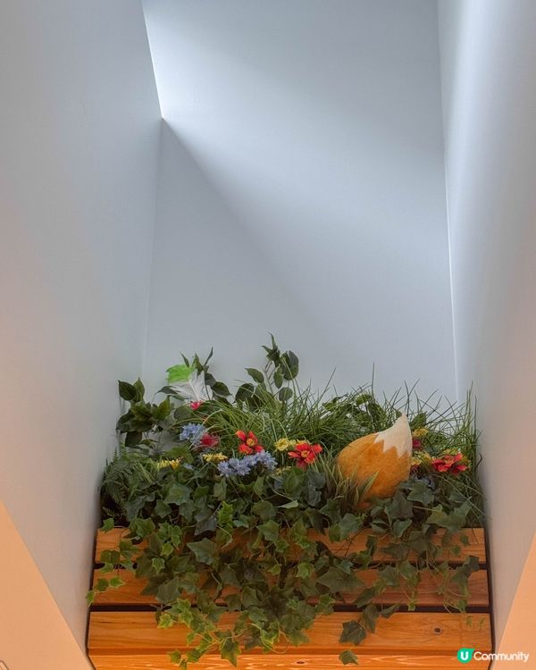 京都任天堂博物館開幕啦！🎉