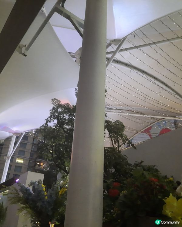 🎄花園餐吧聖誕夜，溫馨又美味！🥰