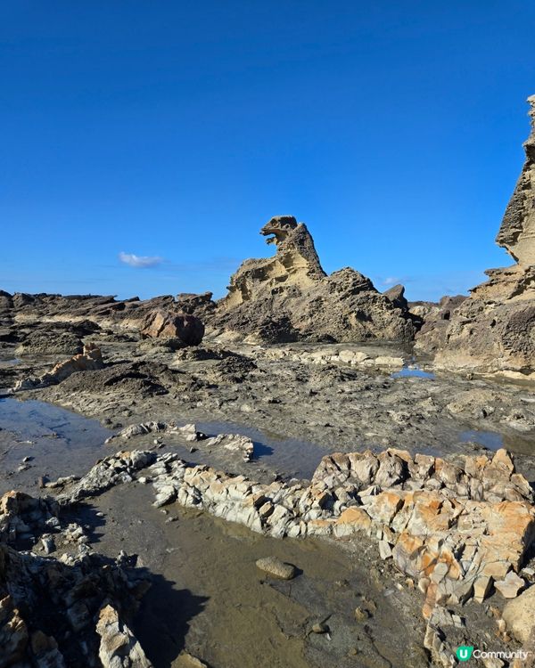 男鹿市哥斯拉石