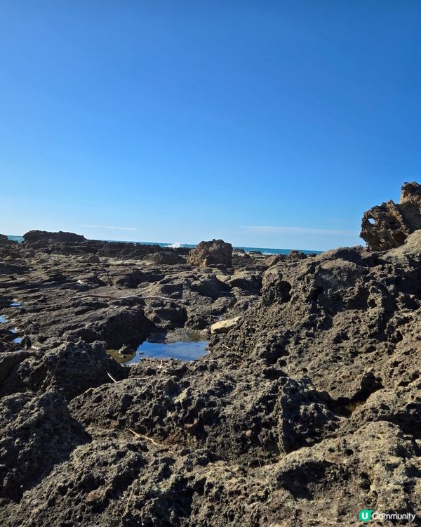 男鹿市哥斯拉石