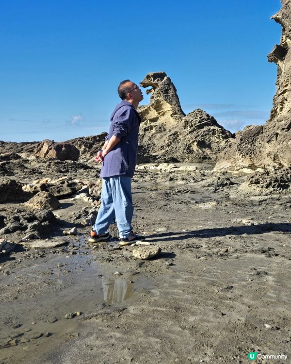 男鹿市哥斯拉石