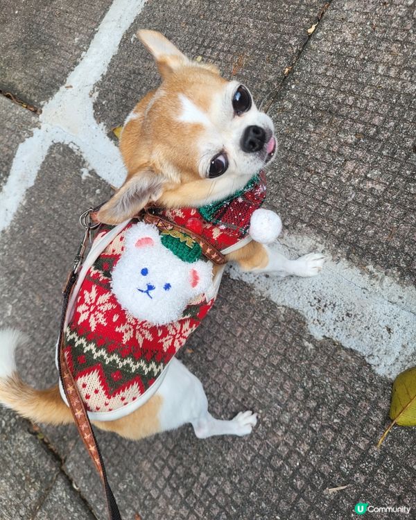 將軍澳海旁打卡