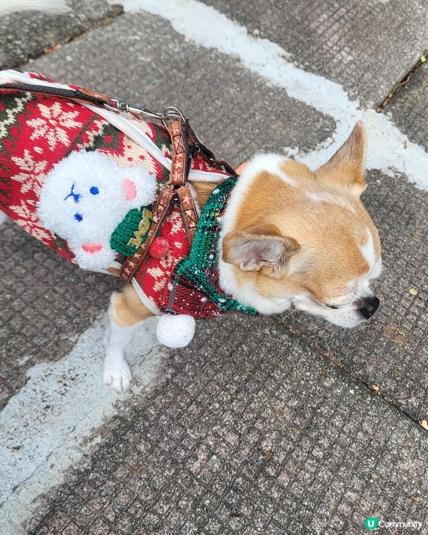 將軍澳海旁打卡