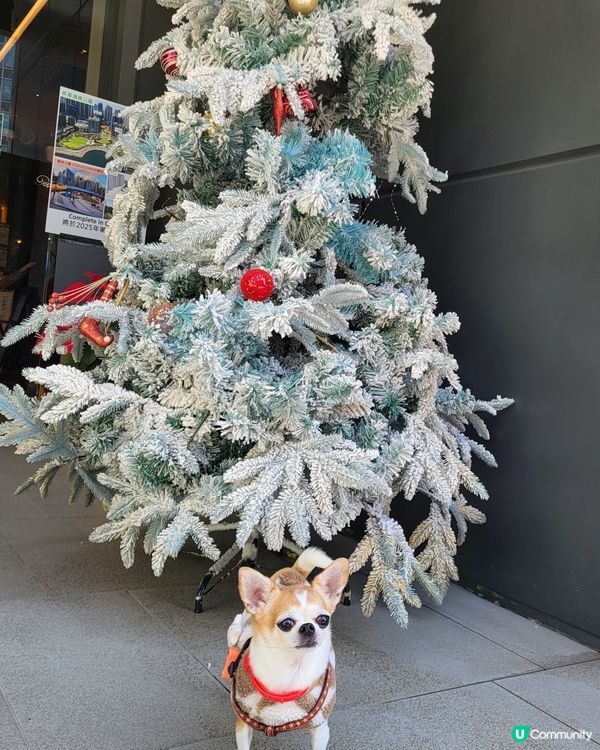 將軍澳海旁打卡