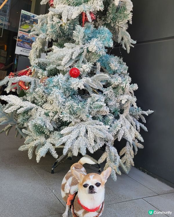 將軍澳海旁打卡