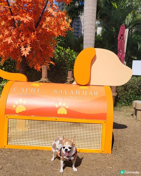 將軍澳海旁打卡