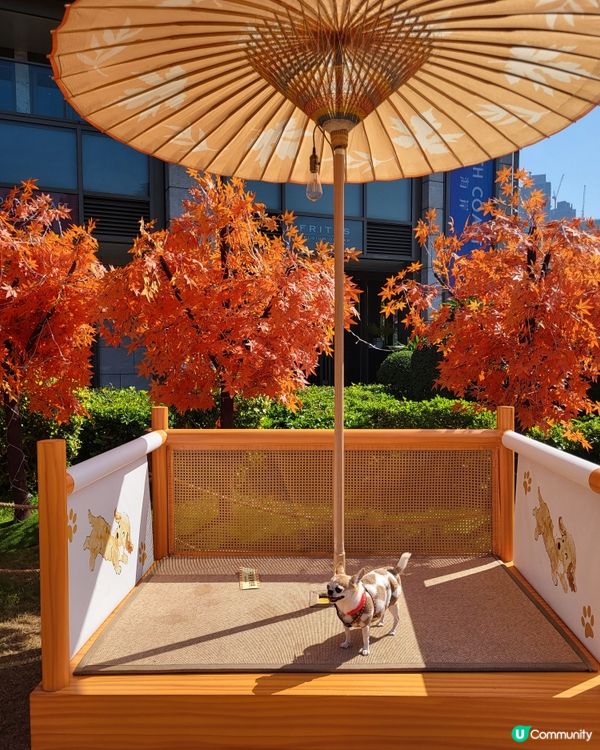 將軍澳海旁打卡