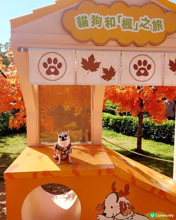 將軍澳海旁打卡