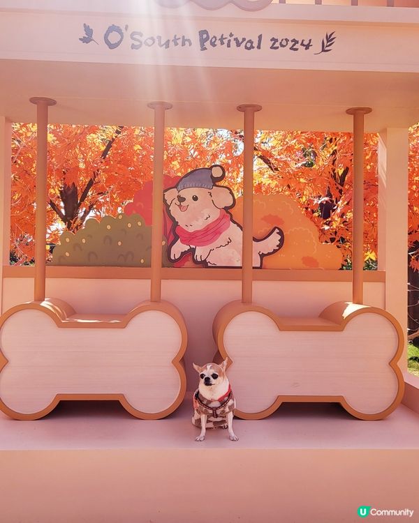 將軍澳海旁打卡