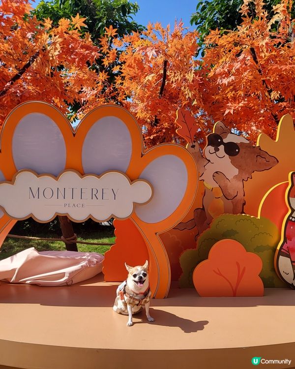 將軍澳海旁打卡