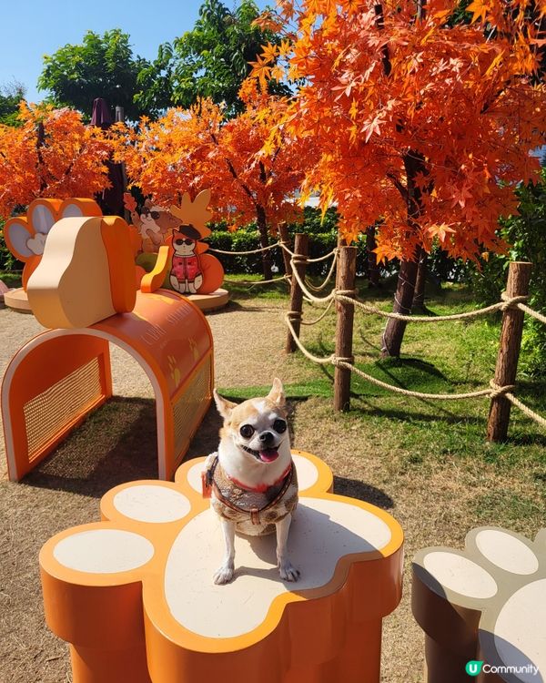 將軍澳海旁打卡