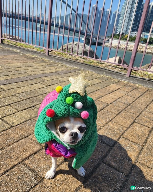 將軍澳海旁打卡