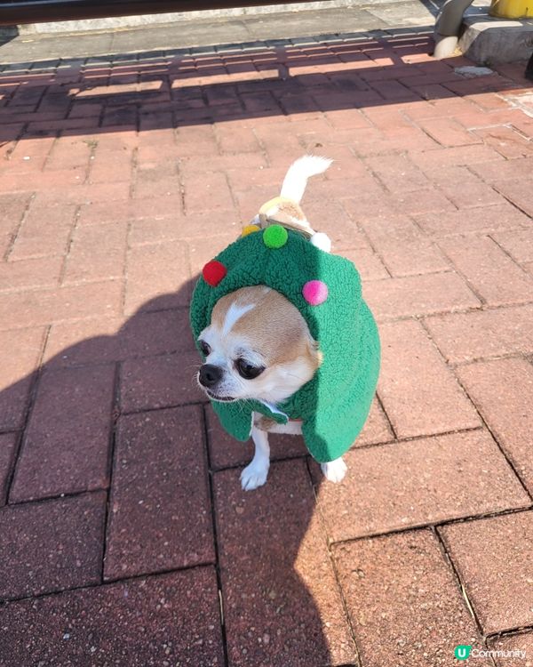 將軍澳海旁打卡