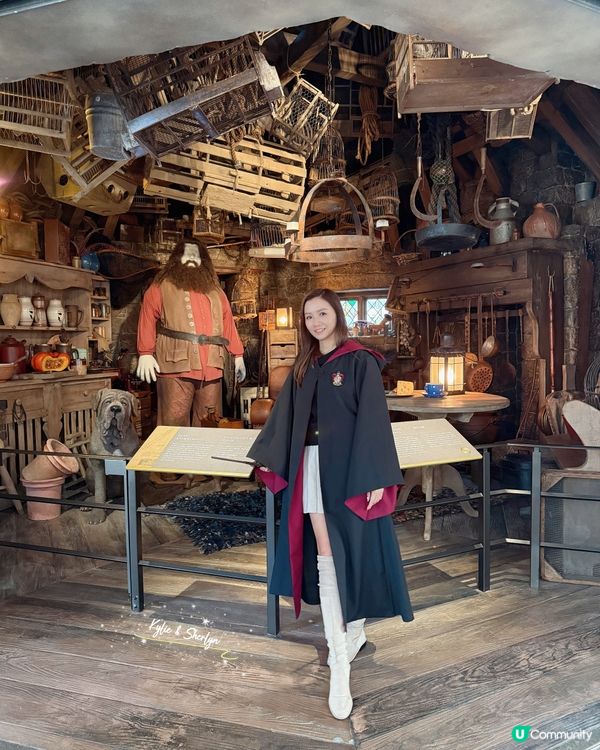 哈利迷必到之處 - 東京兄弟華納哈利波特影城🪄