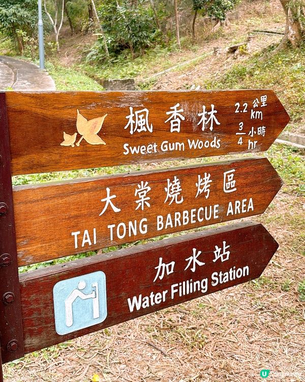 🎏元朗大棠紅葉美景🍁係時候出動去打卡📸