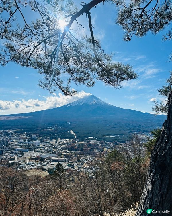 富士山河口湖一日遊🏔️  打卡必去！
