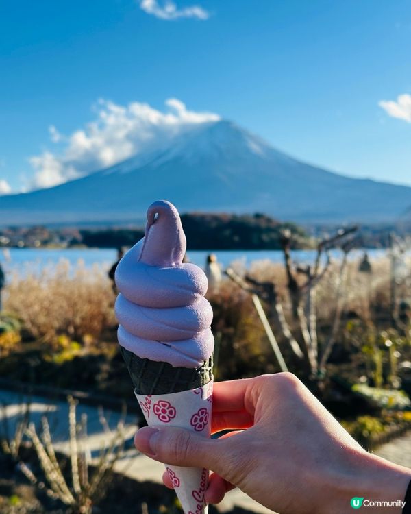 富士山河口湖一日遊🏔️  打卡必去！
