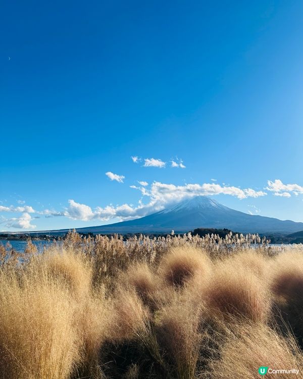 富士山河口湖一日遊🏔️  打卡必去！