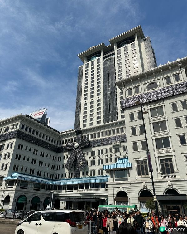 每年聖誕必到打卡🎀