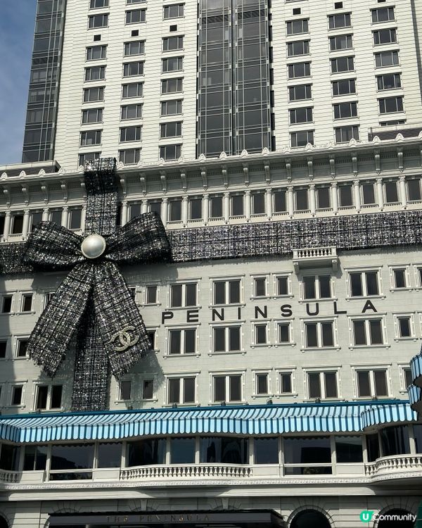 每年聖誕必到打卡🎀