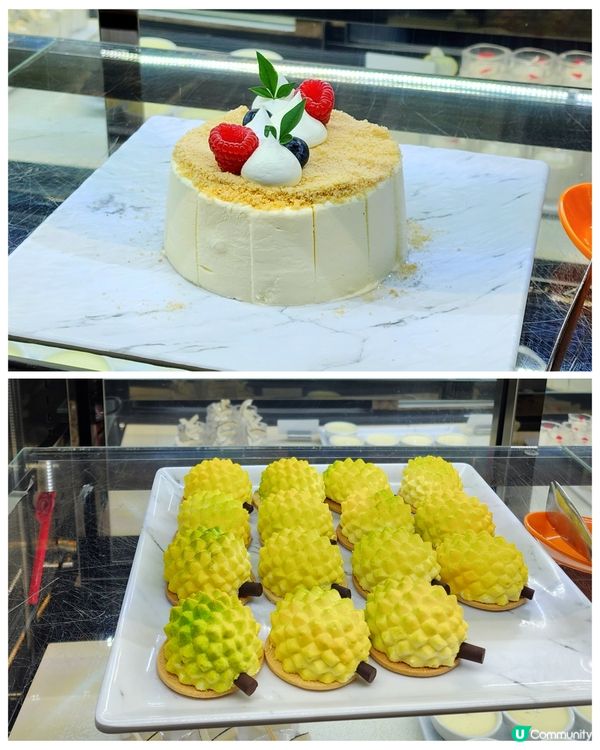 🎄聖誕狂歡！可樂盛宴！🎉