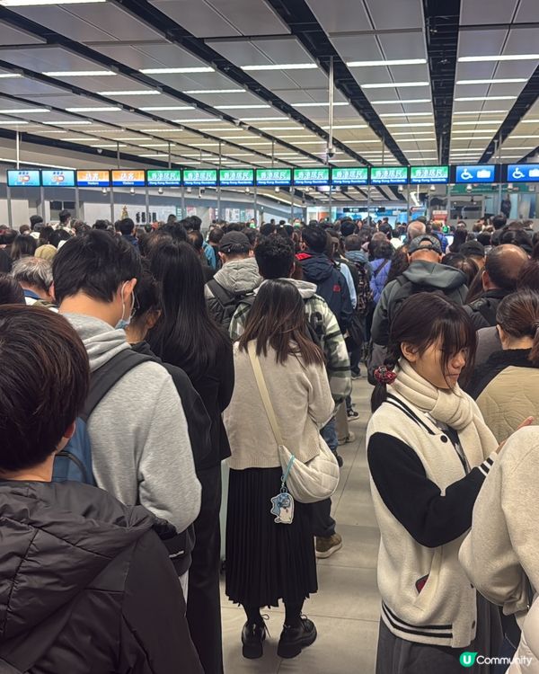 蓮塘口岸過關好多人