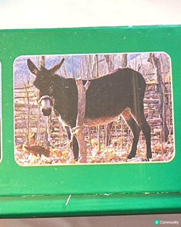 天上龍肉地上驢肉🫏