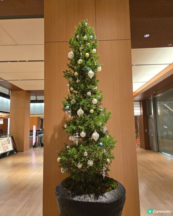 2024 Tokyo midtown 燈飾