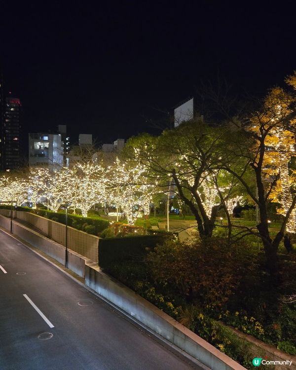 2024 Tokyo midtown 燈飾