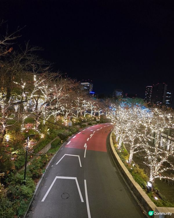 2024 Tokyo midtown 燈飾