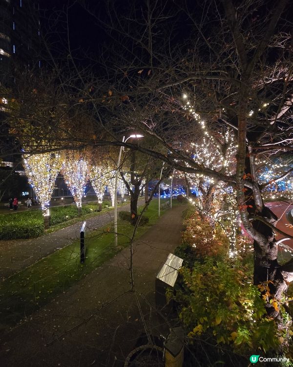 2024 Tokyo midtown 燈飾