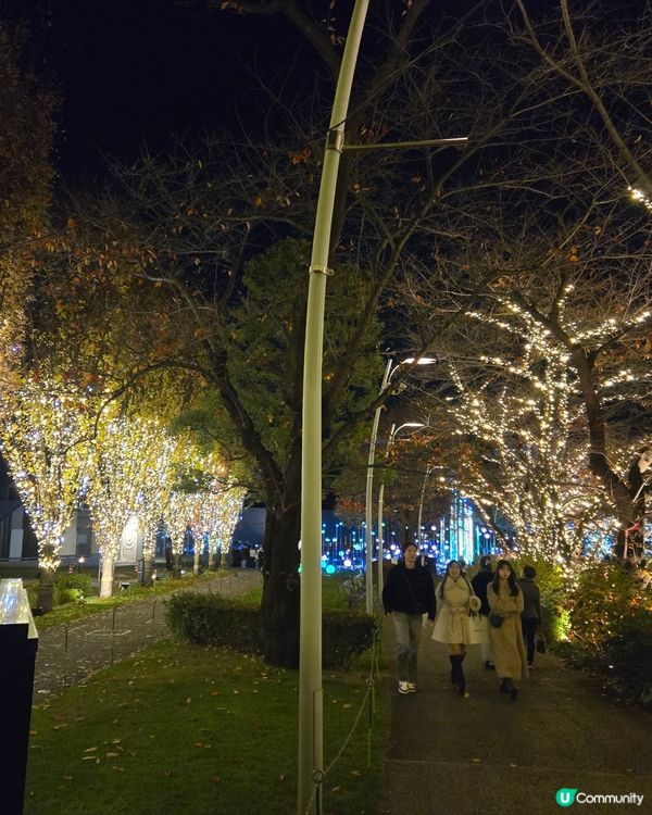 2024 Tokyo midtown 燈飾