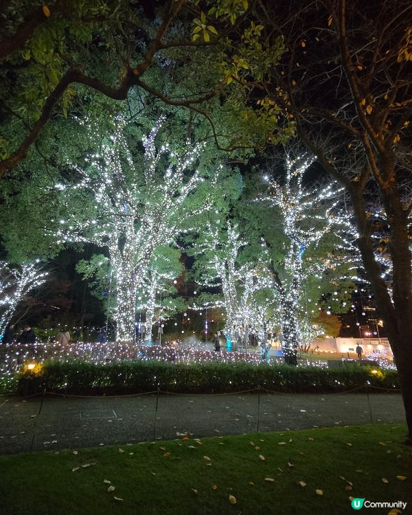 2024 Tokyo midtown 燈飾