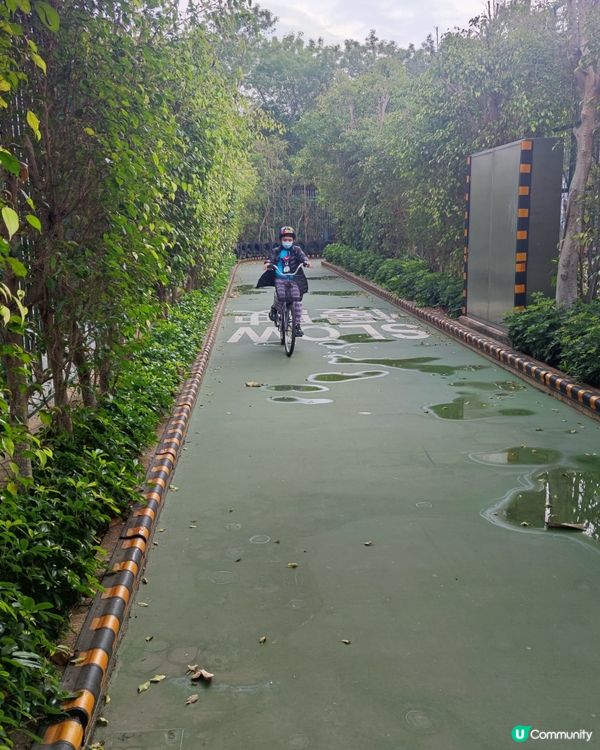 挪亞方舟聖誕太空主題