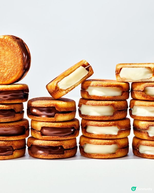 北海道生朱古力夾心餅期間限定店登陸香港啦🥳