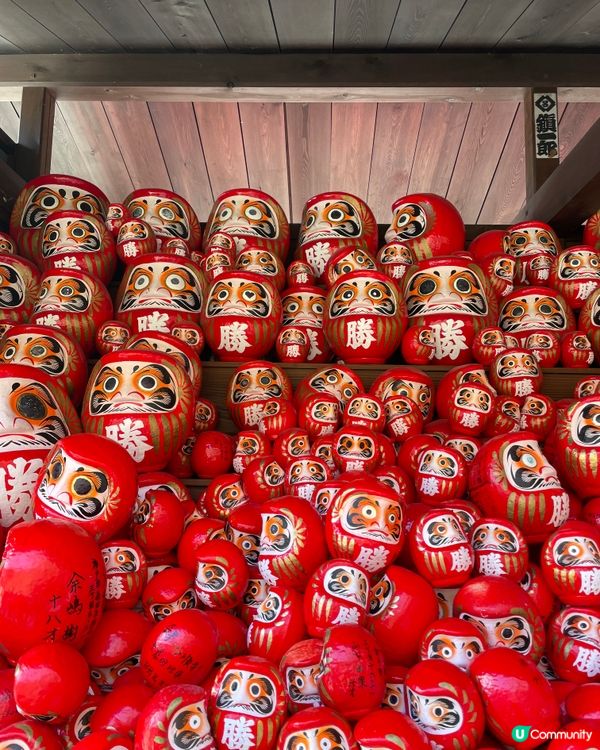 大阪最萌的寺廟，大膽向達摩許願