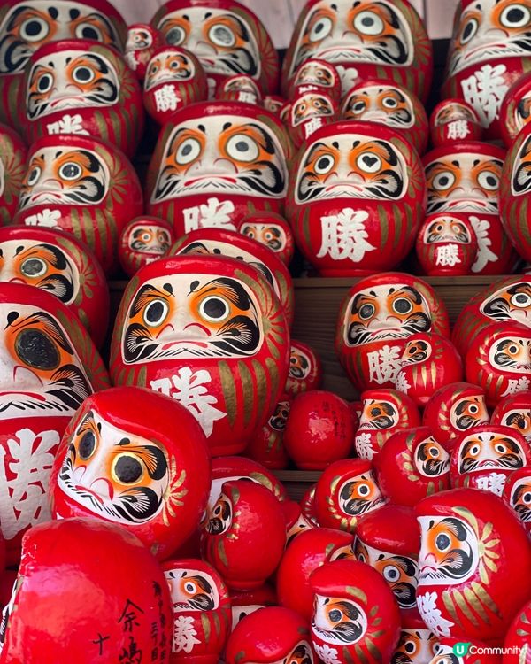 大阪最萌的寺廟，大膽向達摩許願