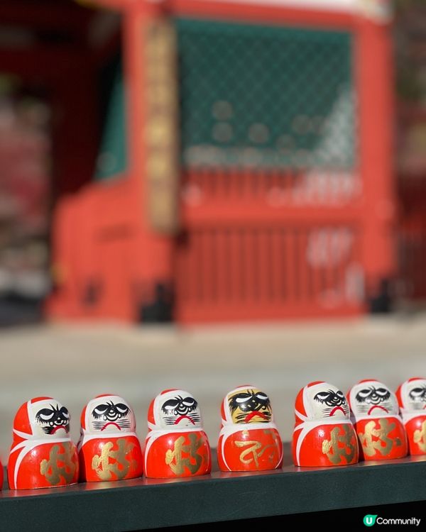 大阪最萌的寺廟，大膽向達摩許願