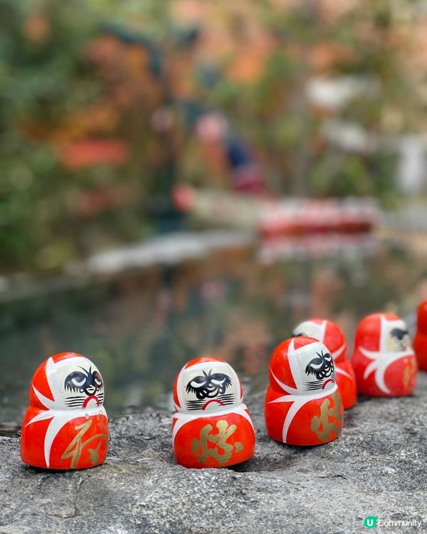 大阪最萌的寺廟，大膽向達摩許願