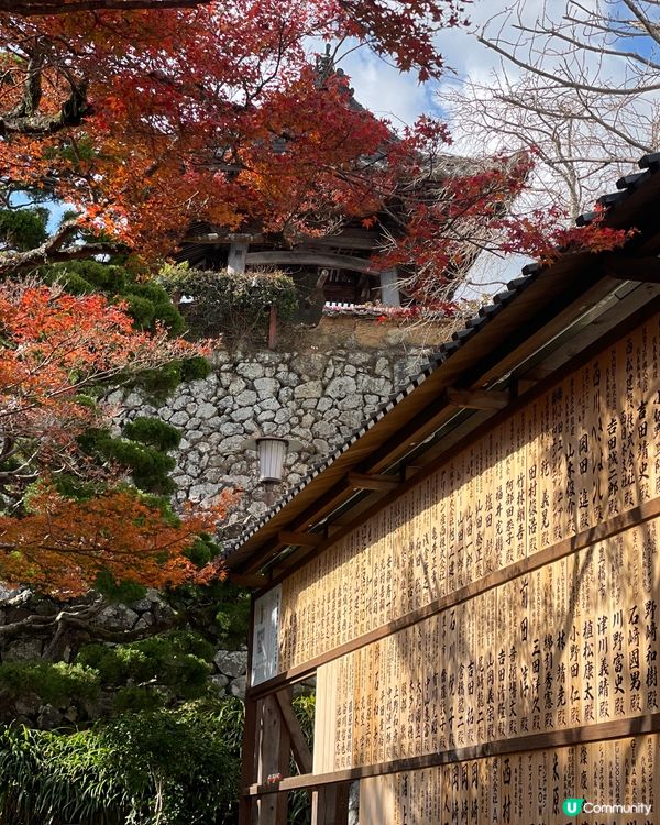 大阪最萌的寺廟，大膽向達摩許願