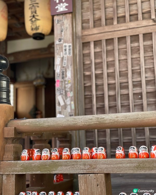 大阪最萌的寺廟，大膽向達摩許願