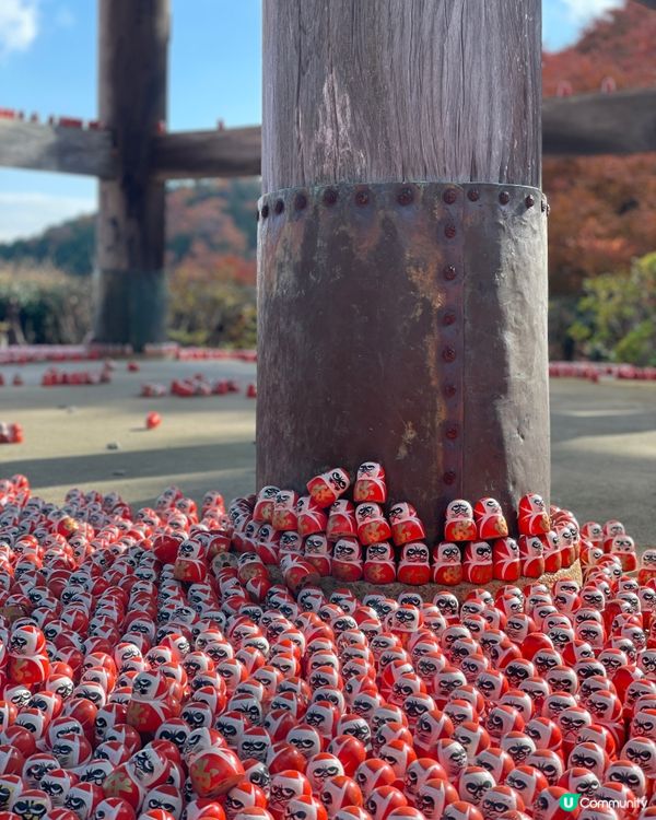 大阪最萌的寺廟，大膽向達摩許願