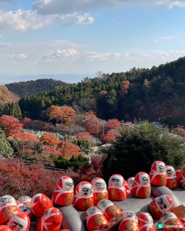 大阪最萌的寺廟，大膽向達摩許願