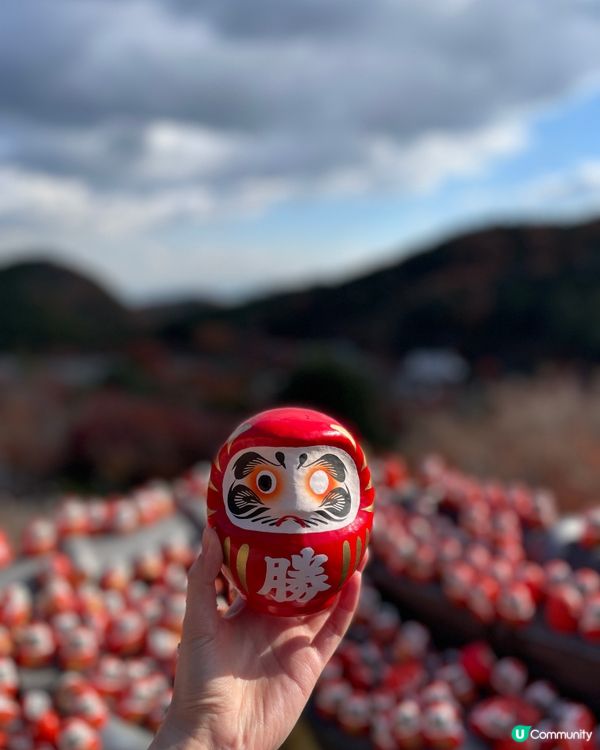 大阪最萌的寺廟，大膽向達摩許願