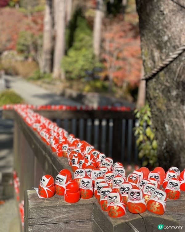 大阪最萌的寺廟，大膽向達摩許願