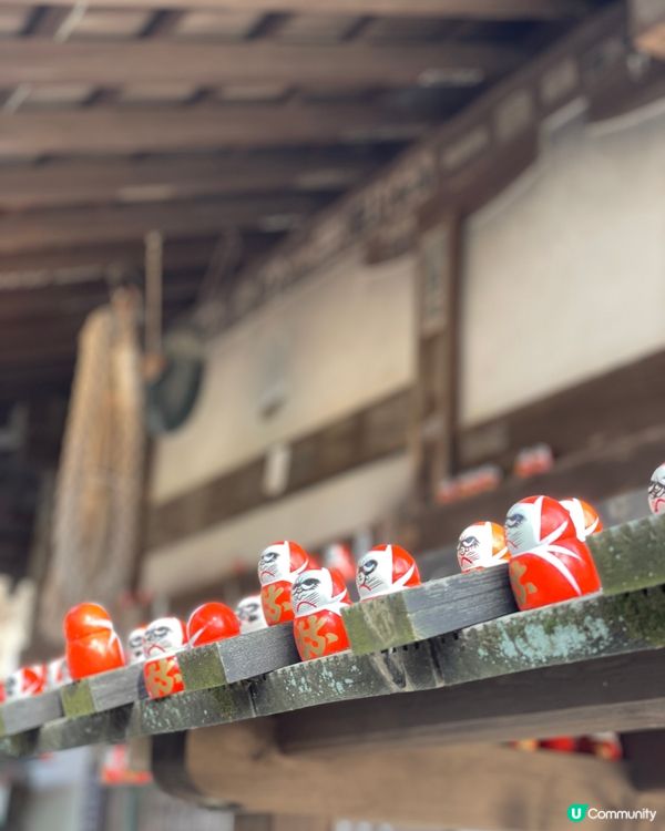 大阪最萌的寺廟，大膽向達摩許願