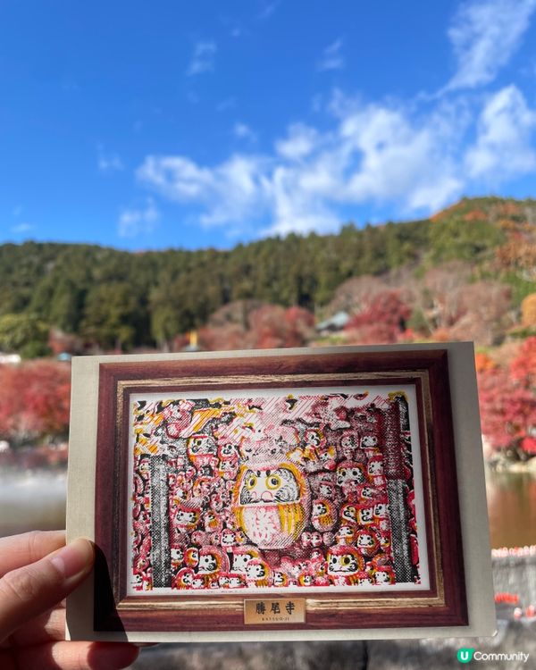 大阪最萌的寺廟，大膽向達摩許願