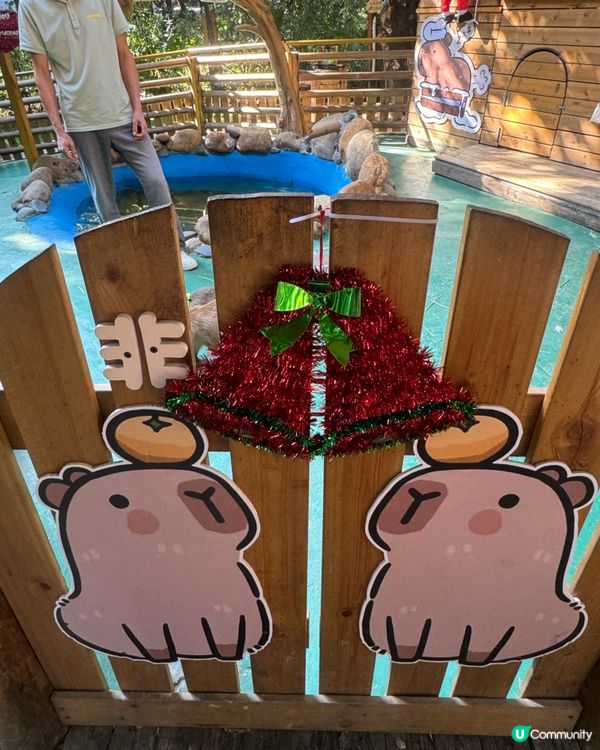 ## 深圳玩樂新去處！🐹 世界之窗附近萌寵森友會