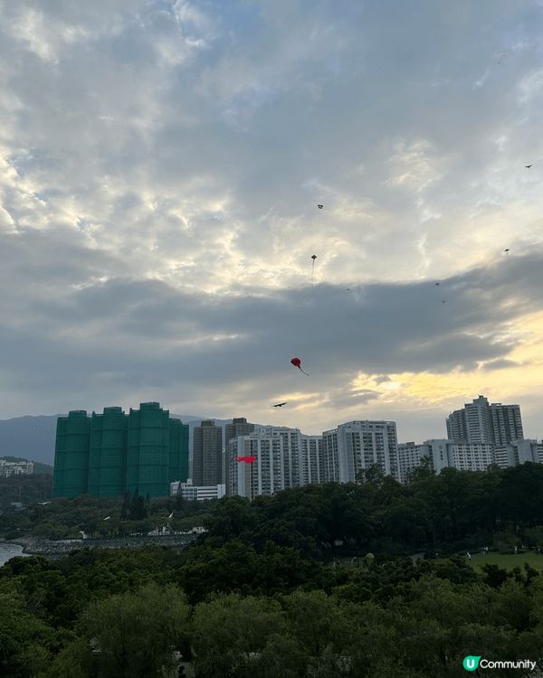 大埔海濱公園打卡一流附近亦有很多美食配套，?晒聖誕想出街日日...